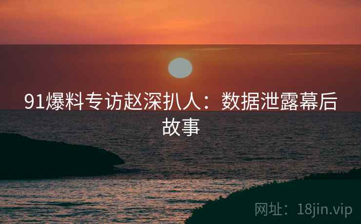 91爆料专访赵深扒人：数据泄露幕后故事