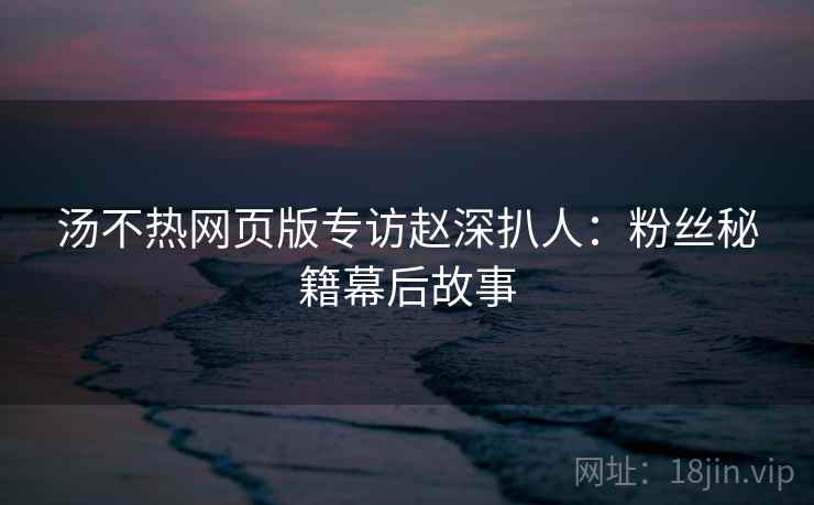 汤不热网页版专访赵深扒人：粉丝秘籍幕后故事